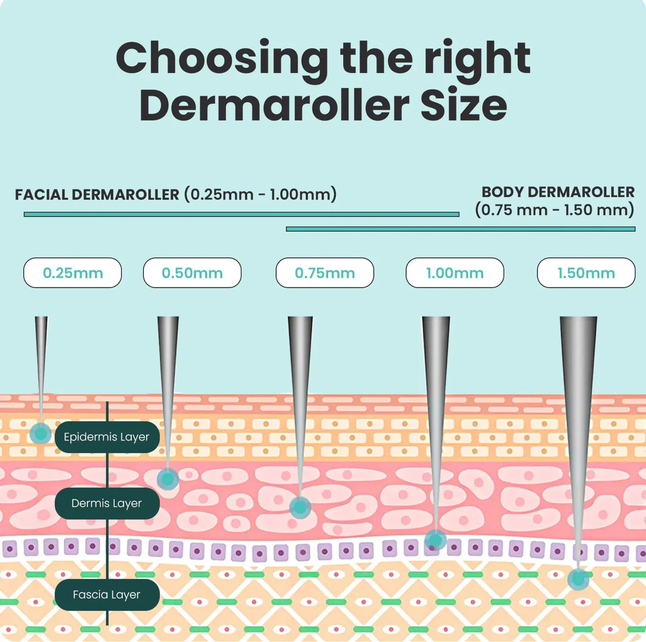 Alitura - The Derma Roller (Beginner - 0.25mm) | Titanium Derma Roller 600 Microneedle Skincare Tool