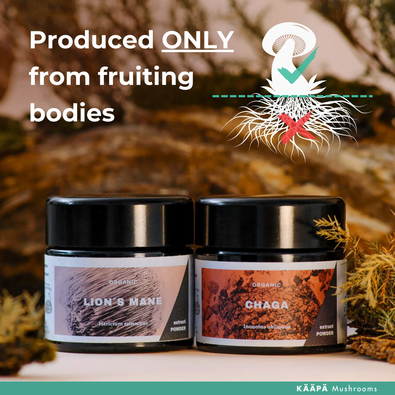 KÄÄPÄ Mushrooms - Organic Chaga Extract Powder (30g)