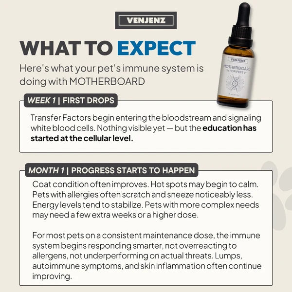 Venjenz - MOTHERBOARD for Pets | Complete Immune Formula