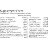 Thumbnail for Revolution Foods - HYDRATE Electrolyte blend 120g