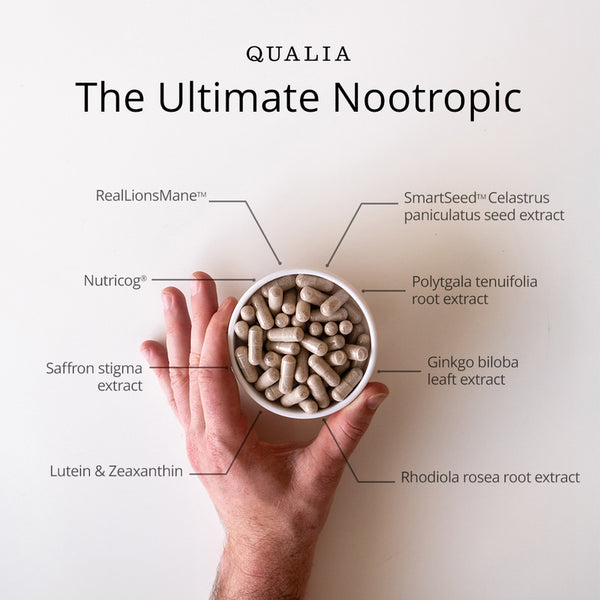 Qualia Mind 2.0 (120caps) | Brain Health, Focus, Memory, Drive