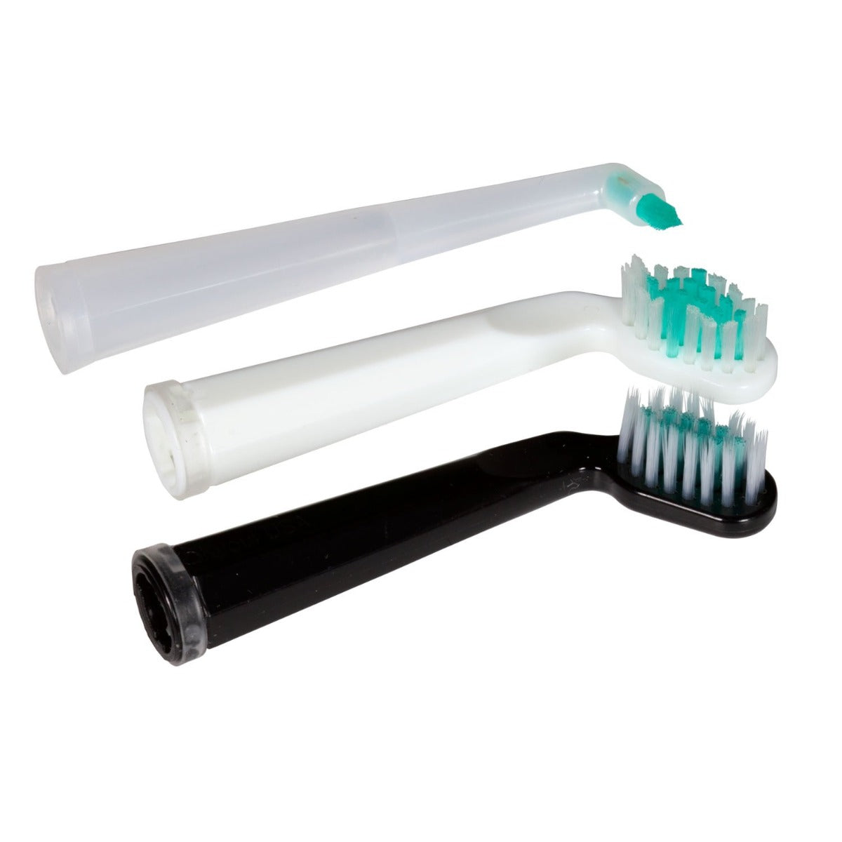 Living Libations Sonic Shine Toothbrush Replacement Heads