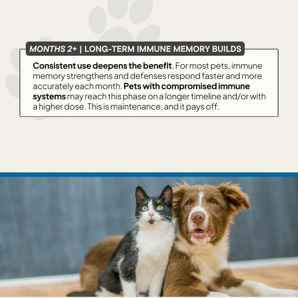 Venjenz - MOTHERBOARD for Pets | Complete Immune Formula