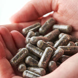Thumbnail for Kiki Health - Organic Irish Sea Moss (90 Vegicaps/500mg)