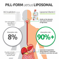 Thumbnail for LipoC® 1200mg Liposomal Vitamin C with Organic Acerola