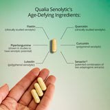 Thumbnail for Qualia Senolytic (12caps) | Two-day Cell Rejuvenation | Support Youthful Cellular Function