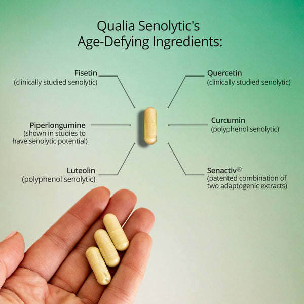 Qualia Senolytic (12caps) | Two-day Cell Rejuvenation | Support Youthful Cellular Function