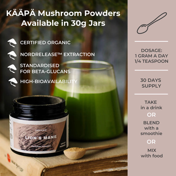 KÄÄPÄ Mushrooms - Lion's Mane Extract Powder (30g)