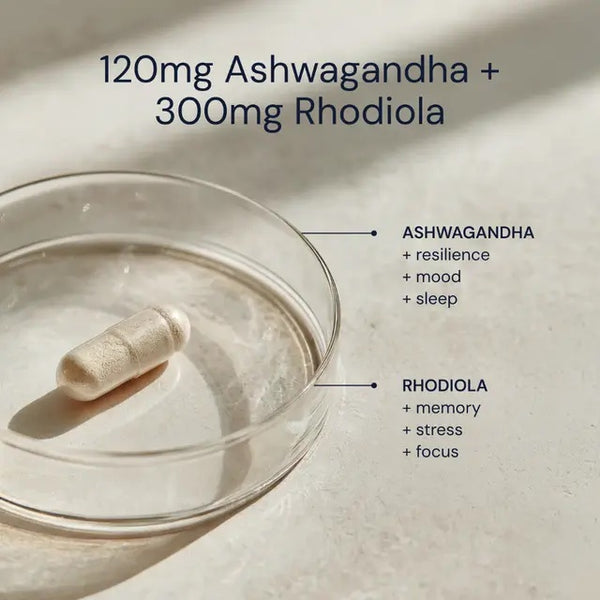 Blueprint | Ashwagandha + Rhodiola (30 caps)