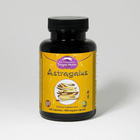 Thumbnail for Dragon Herbs Astragalus 100 Capsules (450mg)