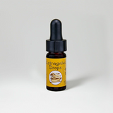 Thumbnail for Dragon Herbs - Astragalus Mini Drops (0.25oz/7.5ml)