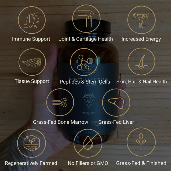 APE Nutrition - Grass-Fed Bone Marrow Capsules | Freeze-Dried Bone Marrow & Liver | (180caps/500mg)