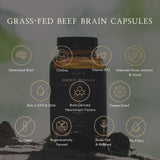 Thumbnail for APE Nutrition - Grass-Fed Beef Brain Capsules | Freeze-Dried Brain & Liver (180caps)