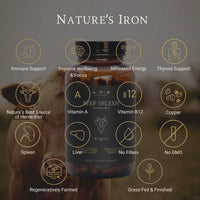 Thumbnail for APE Nutrition - Grass-Fed Beef Spleen Capsules | Natural Heme Iron (180caps)