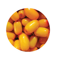 Thumbnail for Living Libations Seabuckthorn Berry Essential Oil (5ml)
