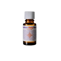 Thumbnail for Living Libations Diffuser Blend Bedtime Story 5ml