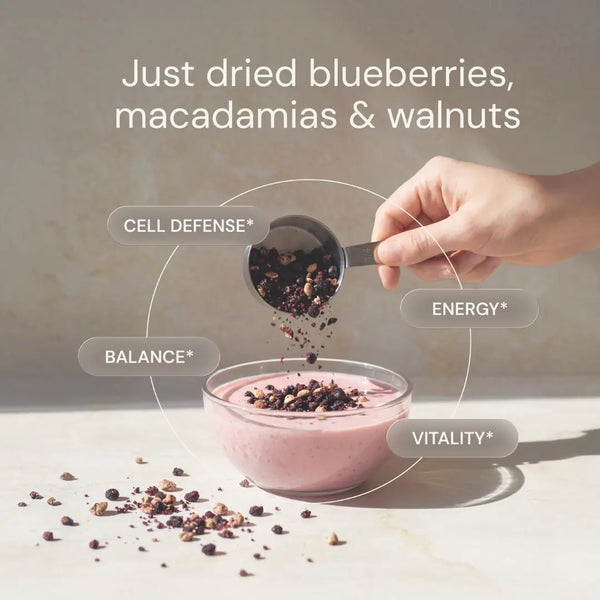 Blueprint | Blueberry Nut Mix (440g)
