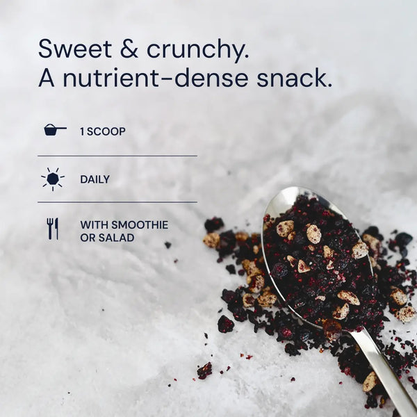Blueprint | Blueberry Nut Mix (440g)