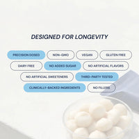 Thumbnail for Blueprint | Macadamia Protein Bars - Variety Pack (12x40g Bars) (Raspberry, White Cocoa Butter, Lemon)