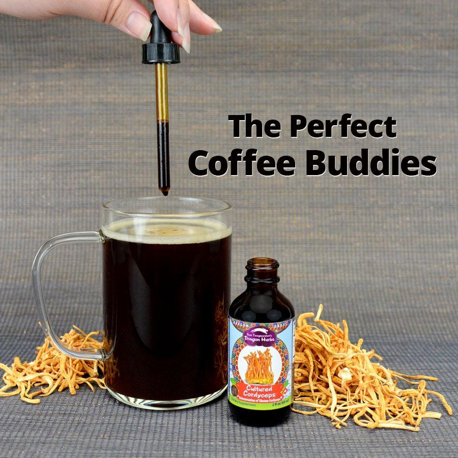 Dragon Herbs Cultured Cordyceps Drops 2fl oz (60ml)