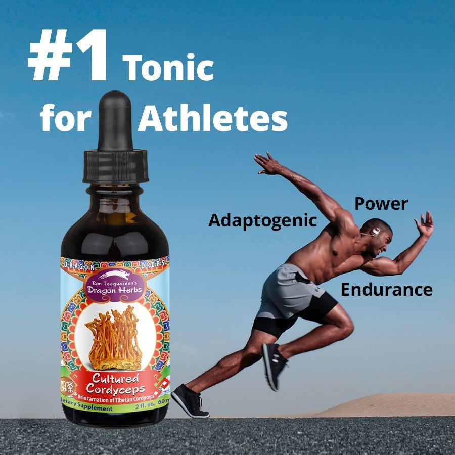 Dragon Herbs Cultured Cordyceps Drops 2fl oz (60ml)