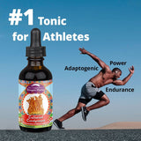 Thumbnail for Dragon Herbs Cultured Cordyceps Drops (240ml/8floz Refill)
