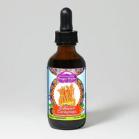 Thumbnail for Dragon Herbs Cultured Cordyceps Drops 2fl oz (60ml)