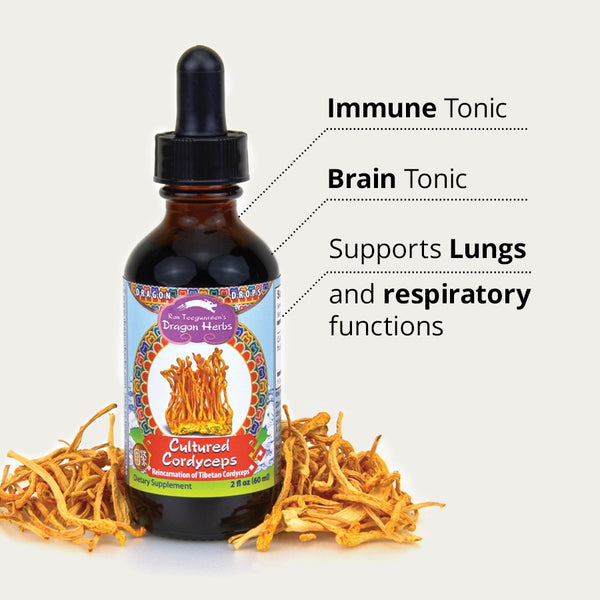 Dragon Herbs Cultured Cordyceps Drops (240ml/8floz Refill)