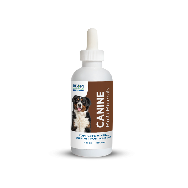 BEAM Minerals - Advanced Canine Mineral and Electrolyte Replenishment Set (Canine Multi Minerals & Electrolytes)