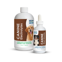 Thumbnail for BEAM Minerals - Advanced Canine Mineral and Electrolyte Replenishment Set (Canine Multi Minerals & Electrolytes)