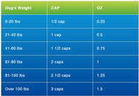 Thumbnail for BEAM Minerals - Advanced Canine Mineral and Electrolyte Replenishment Set (Canine Multi Minerals & Electrolytes)