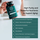 Thumbnail for Qualia Mitochondria+ (120caps) | Cellular Health, Metabolism, Energy