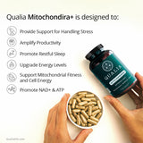 Thumbnail for Qualia Mitochondria+ (120caps) | Cellular Health, Metabolism, Energy