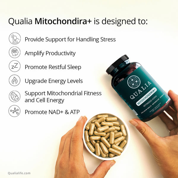 Qualia Mitochondria+ (120caps) | Cellular Health, Metabolism, Energy
