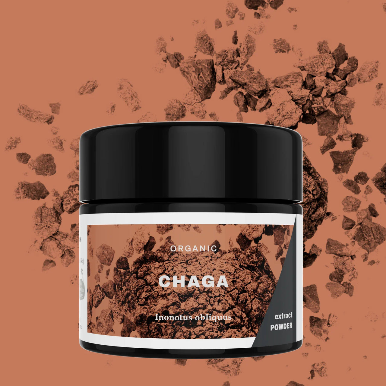 KÄÄPÄ Mushrooms - Organic Chaga Extract Powder (30g)