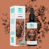 Thumbnail for KÄÄPÄ Mushrooms - Chaga Organic Traditional Tincture (50ml)