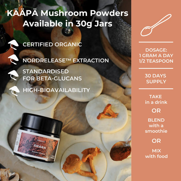 KÄÄPÄ Mushrooms - Organic Chaga Extract Powder (30g)