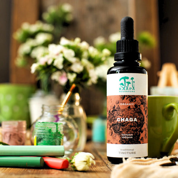 KÄÄPÄ Mushrooms - Chaga Organic Traditional Tincture (50ml)
