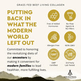 Thumbnail for Ancestral Supplements - Grass Fed Living Collagen (180 capsules / 500mg)