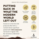 Thumbnail for Ancestral Supplements - Grass Fed Colostrum (180 capsules / 500mg)