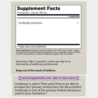 Thumbnail for Dragon Herbs Cordyceps (500mg x 100caps)