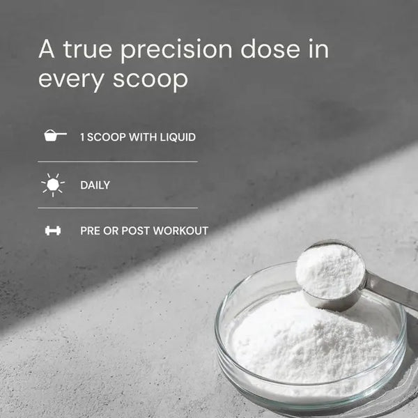 Blueprint | Creatine (573g)