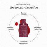 Thumbnail for Cymbiotika - Liposomal Elderberry  26x10ml pouches