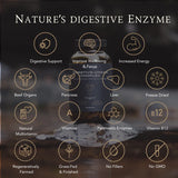 Thumbnail for APE Nutrition - Organic Digestive Organ Complex | Grass-Fed Pancreas & Liver Capsules (180caps)