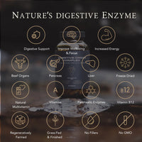 Thumbnail for APE Nutrition - Organic Digestive Organ Complex | Grass-Fed Pancreas & Liver Capsules (180caps)