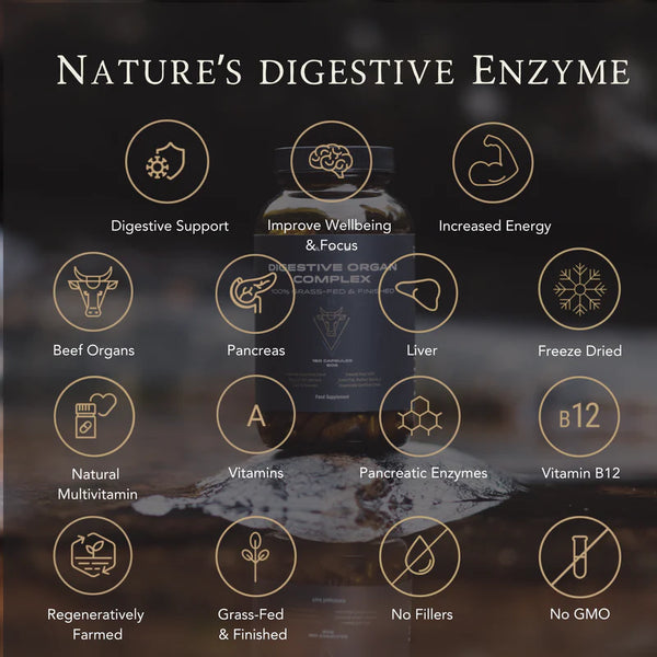 APE Nutrition - Organic Digestive Organ Complex | Grass-Fed Pancreas & Liver Capsules (180caps)