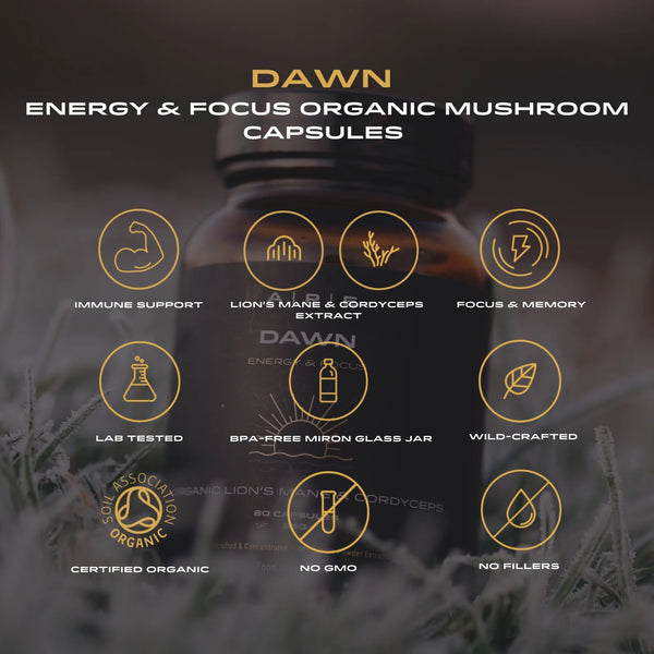 APE Nutrition - Dawn Mushroom Capsules | Lion’s Mane & Cordyceps Blend (80caps)