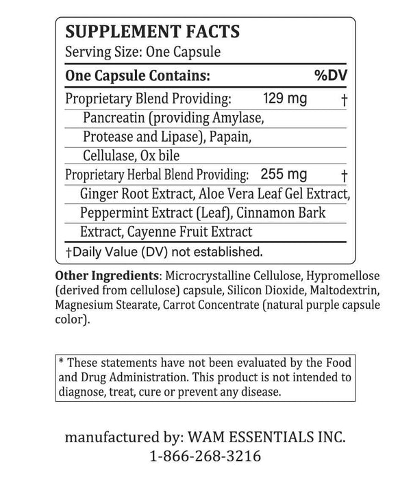 Dr Wong’s WAM Essentials - Digest-Fuerte™ Digestive Enzyme Complex (90caps)