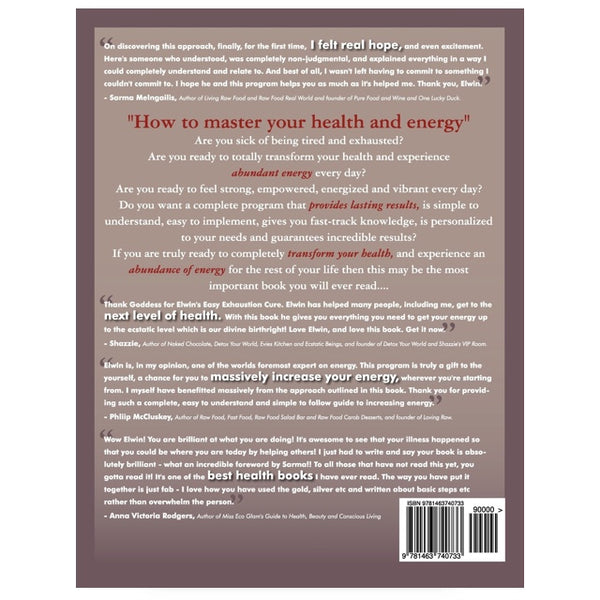 Book: The New Easy Exhaustion Cure  For Workaholics and Overachievers By Elwin Robinson by Elwin Robinson