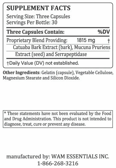 Dr Wong's WAM Essentials - Enkindle (90caps)